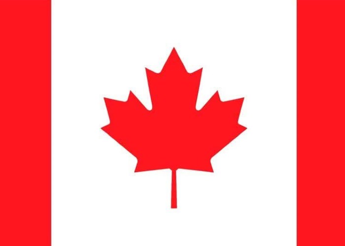 ویزای کارآفرینی C11 کانادا چیست؟