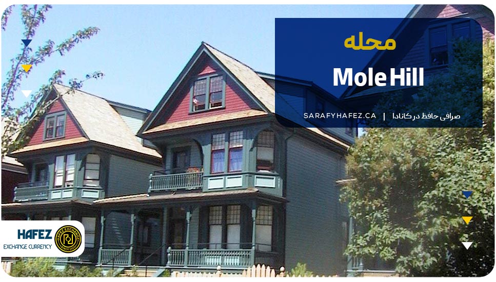 محله مول هیل (Mole Hill)