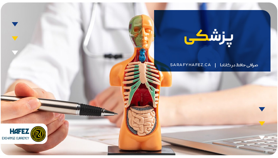 1. پزشکی (Medicine)