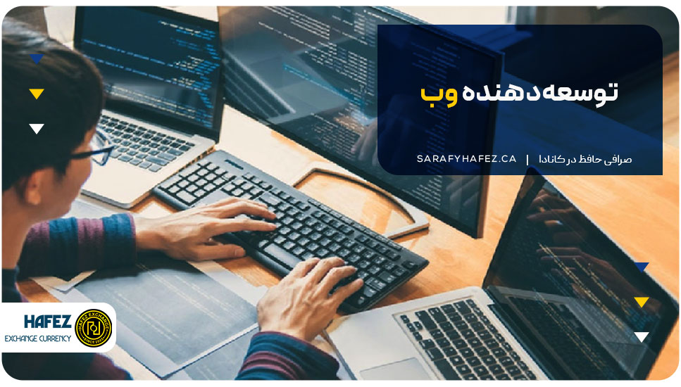 توسعه‌دهنده وب