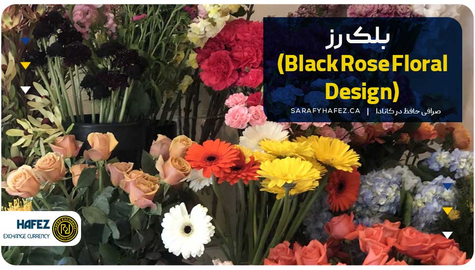 بلک رز (Black Rose Floral Design)