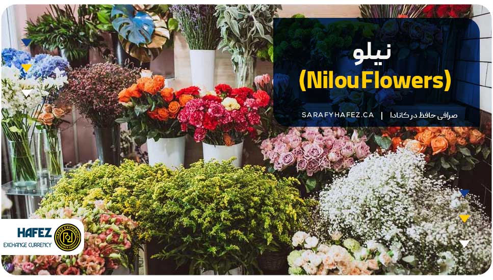 نیلو (Nilou Flowers)
