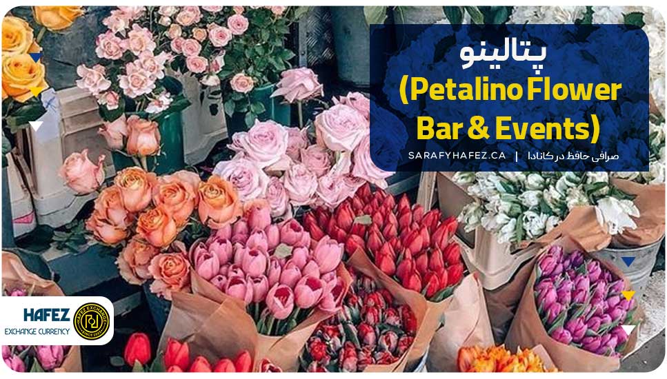 پتالینو (Petalino Flower Bar & Events)