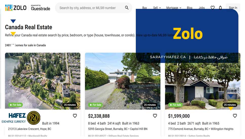 4. Zolo
